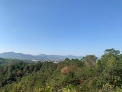 -分塔山省级森林公园