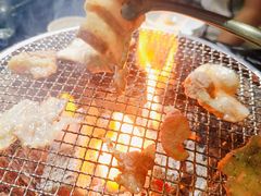 -燚青春东北泥炉烤肉(百合店)