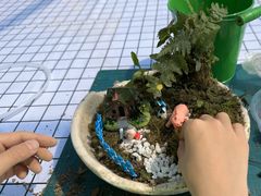 -嘉北郊野公园