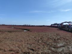 -红海滩国家风景廊道