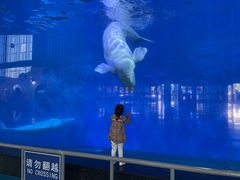 -泉城欧乐堡海洋极地世界