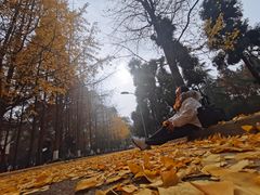 -四川大学(望江校区)
