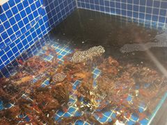 -破瓦寒窑·地摊烤羊排