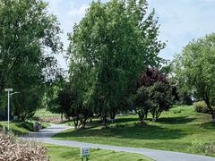 -两河城市森林公园