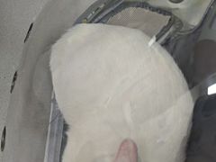 -爱佳宠物中心医院24H·CT·骨外科·猫专科(瑶海万达店)