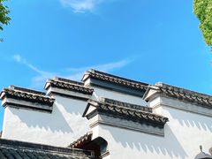 -东山雕花楼