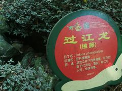 -呀诺达热带雨林