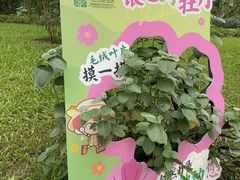 -云溪植物园