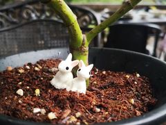 -韬光茶庵