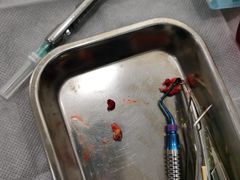 -维乐口腔(格林门诊长宁店)