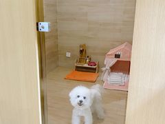 -Double Rui宠物酒店