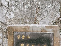 -紫金山山顶公园