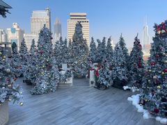 -城市露台景观餐厅(淮海路店)