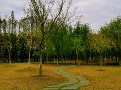 -上海长兴岛郊野公园