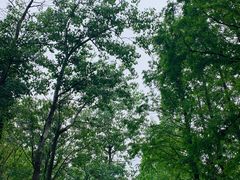 -白水寺森林公园