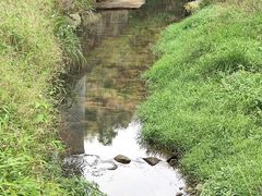 -千泷沟大瀑布旅游区