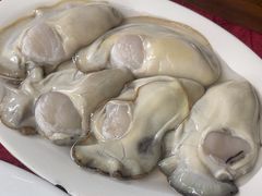 -花苑美食横琴生蚝火锅(拱北粤华路店)