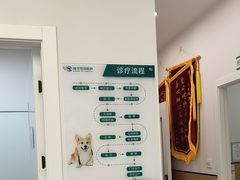 -瑞派康怡24h宠物医院·犬猫医疗中心·微创绝育(瑞景分院)