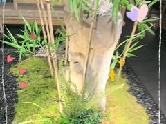 -绿茶餐厅(淮安吾悦广场店)