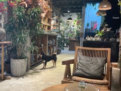 -自由生长植物工作室(深港花卉中心店)