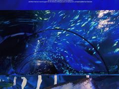 -太平洋海底世界