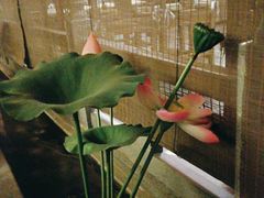 -徽镇小厨·经典徽菜(十里河店)
