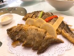 香煎黄鱼鲞-骏莱海鲜鱼港(五角场店)