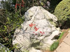 -金鸡湖桃花岛