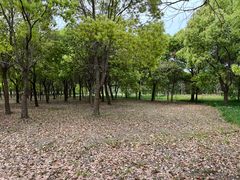 -嘉北郊野公园