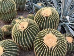 -北京植物园-展览温室