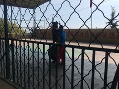 -东方熊牧场