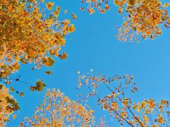 -北山街历史文化街区