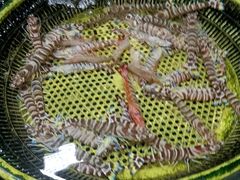 -板桥海鲜广场(文明东店)