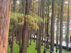 -云龙湖旅游景区