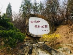 -白水寺森林公园