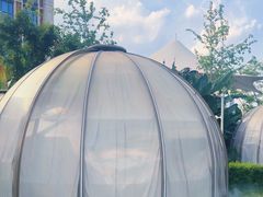 -悦见花开·花园里的火锅·露营·下午茶