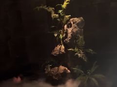 -泰之源足浴会所(玉环店)