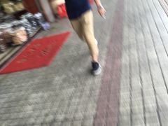 -清平中药材专业市场
