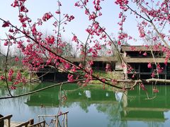 -常德桃花源景区
