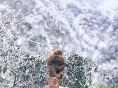 -九峰山