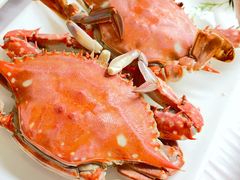 -宾朋海鲜饭庄(兴海路店)