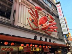 -蟹道乐(道顿堀本店)