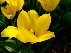 -长春公园(普阳街道)