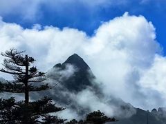 -秦岭风景区