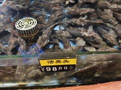 -山东八大碗山东老字号