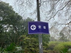 -武汉大学-樱园