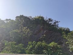 -上海佘山国家森林公园天马山园