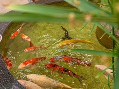 -古莲·影院足道·按摩SPA(水上温泉店)