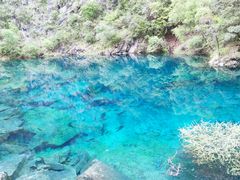 -叠溪松坪沟景区