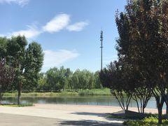 -永定河休闲森林公园